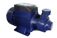 2850 RPM Clean Water Pump QB 70 0.55 KW 0.75 HP For Garden Irrigation