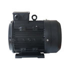 Single Phase  Asynchronous Hollow Shaft Motor 3HP 2800Rpm For Car Pressure Washer