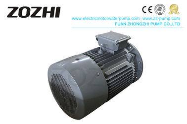 B/F Insulation Class High Efficiency Induction Motor IE3 Cast Iron Body Material