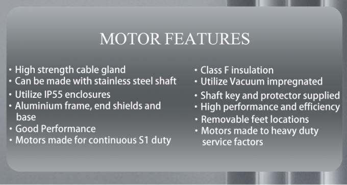 ปั๊มสระว่ายน้ำ มอเตอร์อะซิงโครนัสเฟสเดียว 2800 รอบต่อนาที พร้อมตัวเรือนอะลูมิเนียมกันน้ำ และความถี่ 220V 50Hz 4