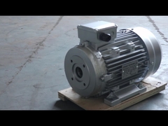 hollow shaft motor HS100L3-4