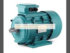 เครื่องยนต์อุตสาหกรรม 3 ขั้นตอนที่มีอัตราผลิต 0.12KW-315KW สําหรับการใช้งานภาระหนัก