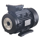 HS100L2-4 4hp 3kw Hollow Shaft Electric Motor Three Phase For Car High Pressure Cleaner