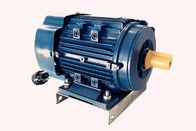 Figure MY712-2 Single Phase Capacitor Run Motor 0.75HP 230v 50Hz For Crushers