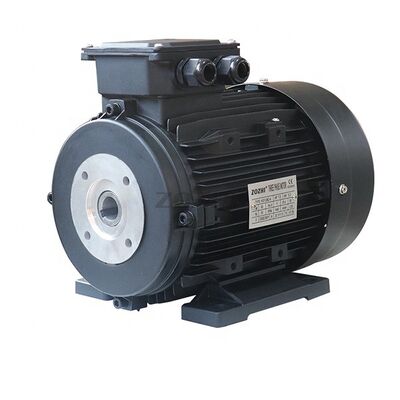 Three Phase Hollow Shaft Motor Foot Mounted 1.2 Kg Lightweight Motor Offering Easy Installation and Reliability