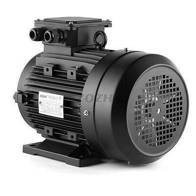 IE1 Hollow Shaft 3 Phase Motor Featuring 24mm Hollow Shaft Diameter IEC Standard Suitable for Conveyor and Pump Systems