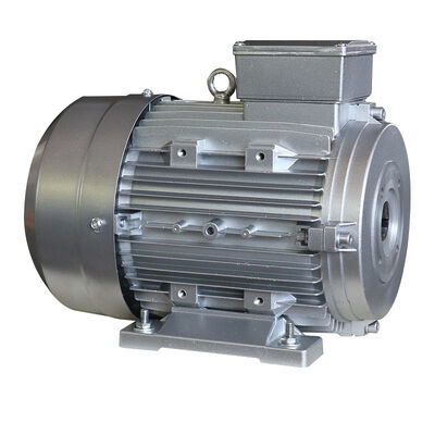 Spa Whirlpool System Hollow Shaft Motor featuring Insulation Class F and Life Span at least 3000 hours designed for usage