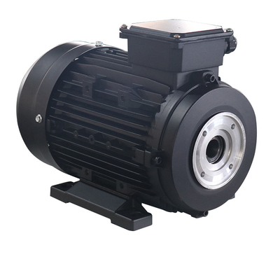 HS100L2-4 4hp 3kw Hollow Shaft Electric Motor Three Phase For Car High Pressure Cleaner