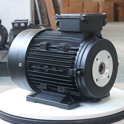 Made In Hollow Shaft Motor 1450RPM Asynchronous Speed 15.3 Ampere Suitable For Precision Equipment And Industrial Robots