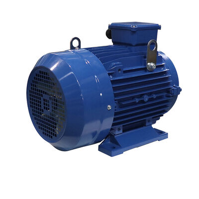 Flange-mounted B5 3 Phase Induction Motor IP 55 Protection Suitable for Heavy Duty Industrial Applications and Machinery