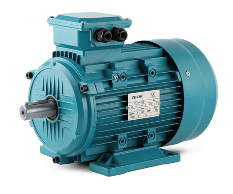 Totally Enclosed 3 Phase Induction Motor Built for CW And CCW Rotation Ensuring Operation in Harsh Industrial Environments