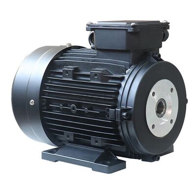 Hollow Shaft Diameter Φ24mm Hollow Shaft AC Motor Flange Mount Face Mount Suitable for Industrial Automation Applications