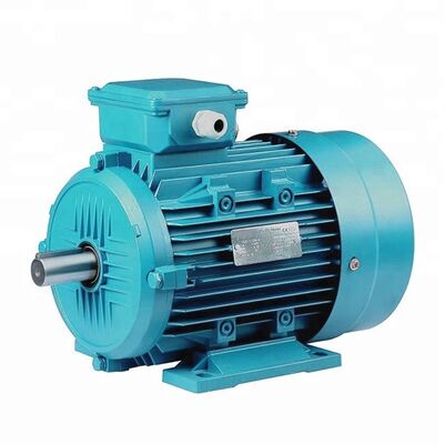 Cast Iron Housing 3 Phase Induction Motor 220 V 380 V 440 Volts 2P 4P 6P 8P Poles As Required Industrial Electric Motor