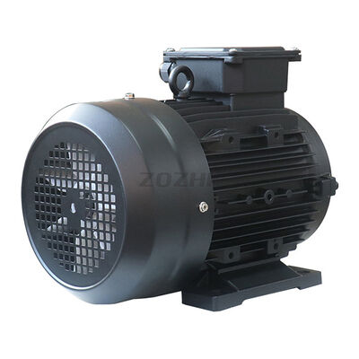 Induction Motor 3 Phase Induction Motor Incorporating 45 Steel Shaft and IP55 Grade Suitable for Various Industrial Uses