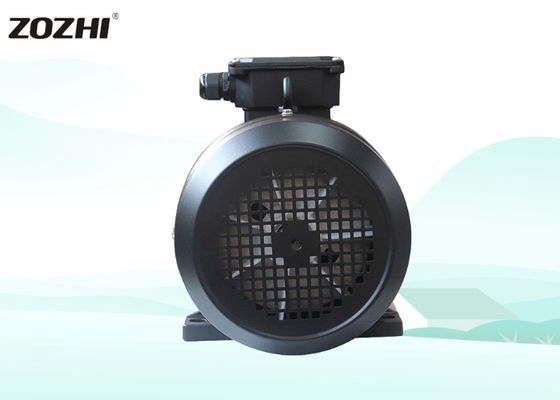 มอเตอร์เพลาตันสามเฟสสำหรับปั๊ม 3kW 1500 RPM 380V/440V ประสิทธิภาพสูง ติดตั้งหน้าแปลนกันน้ำ 50Hz/60Hz