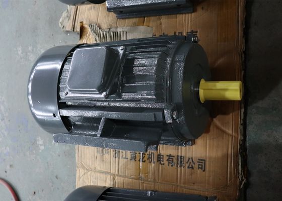 Cast Iron 2 Pole IP44 1HP 0.75KW Three Phase Ac Motor
